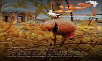 تنها نشریه تخصصی بانوان دانشگاه قم
